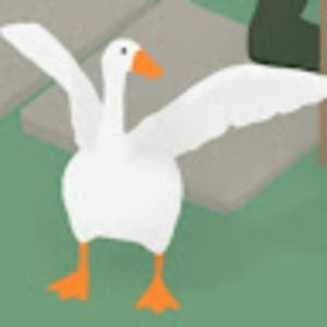 Meet your Posher, Eva